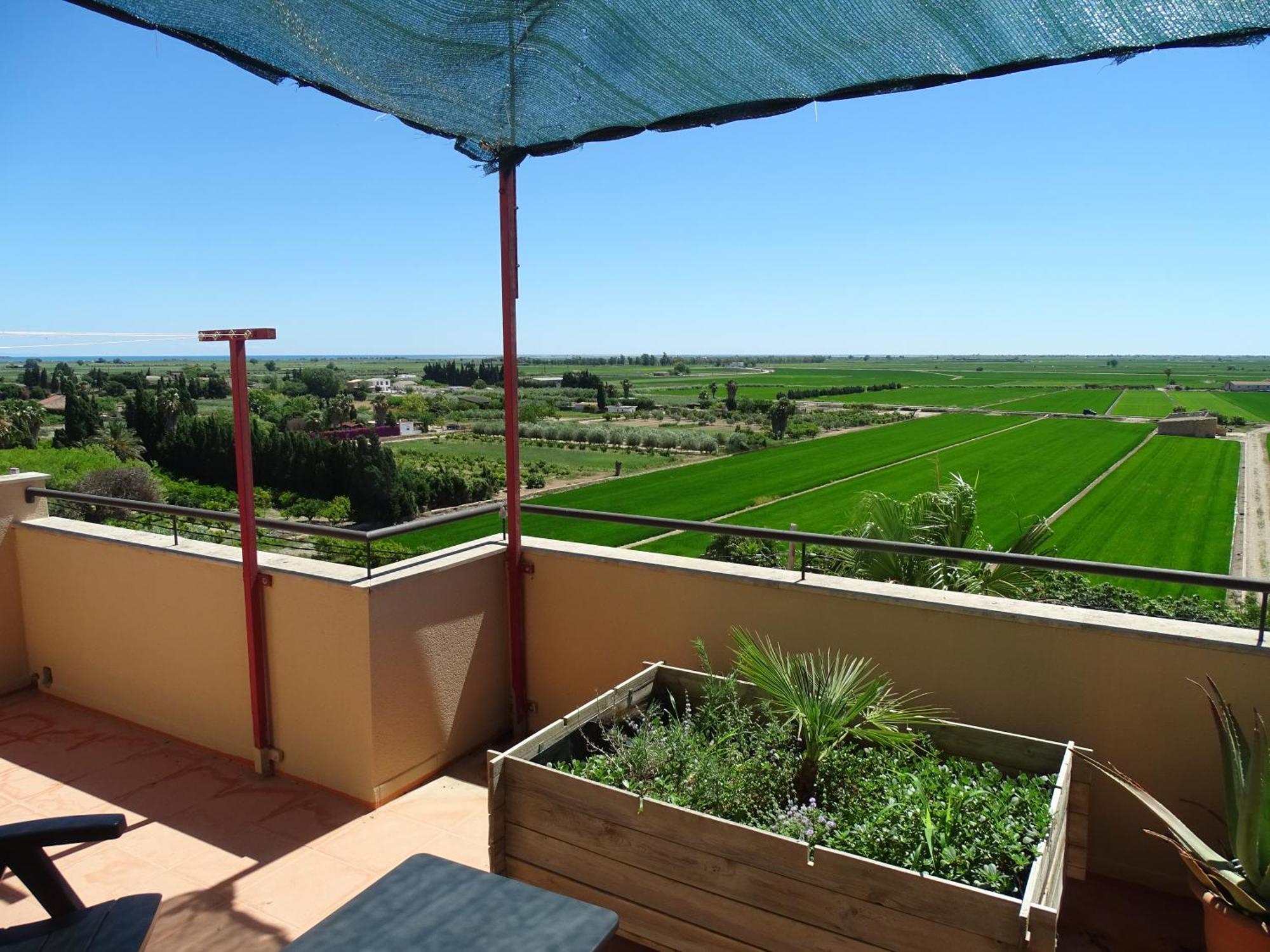 Con Vistas
