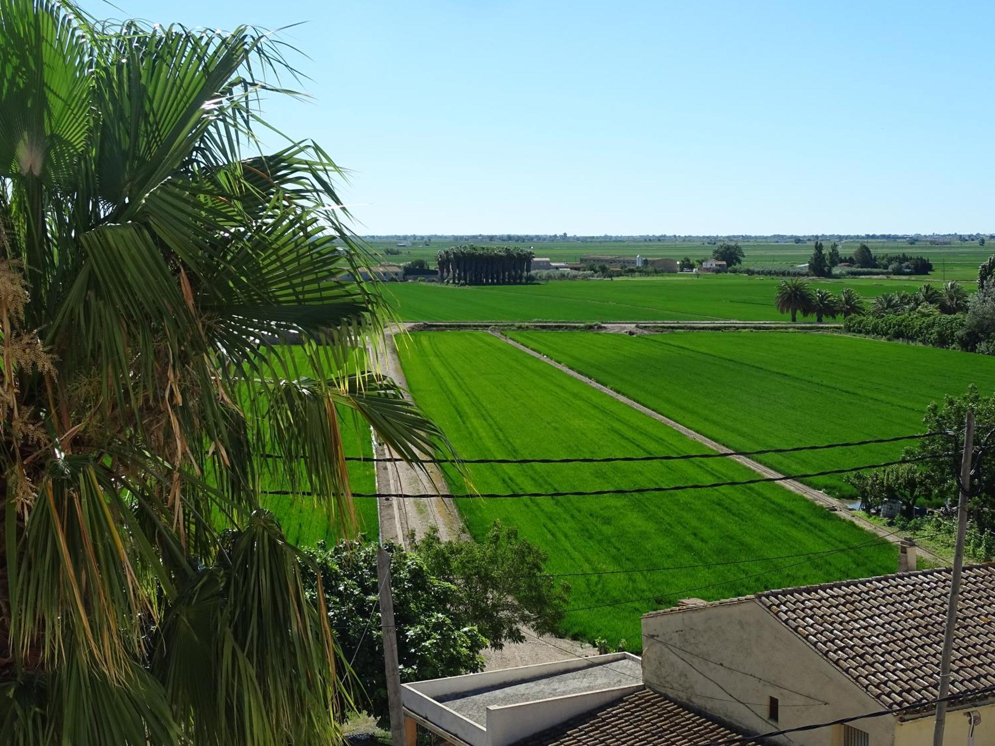 Con Vistas Apartment Camarles